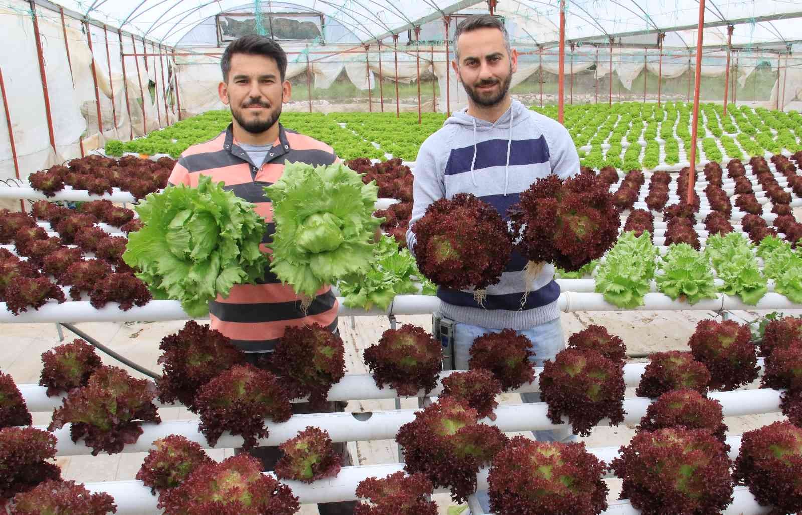 İşçiliği bırakıp çiftçiliğe başladılar, yılda 8 hasat yapıyorlar