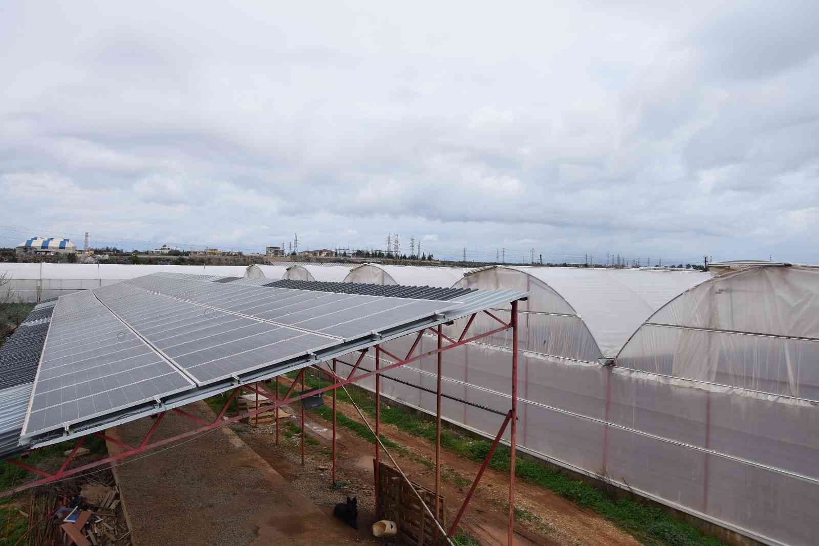 Hibe desteğiyle sera kurdu, ürettiği elektriğin fazlasını satmaya başladı