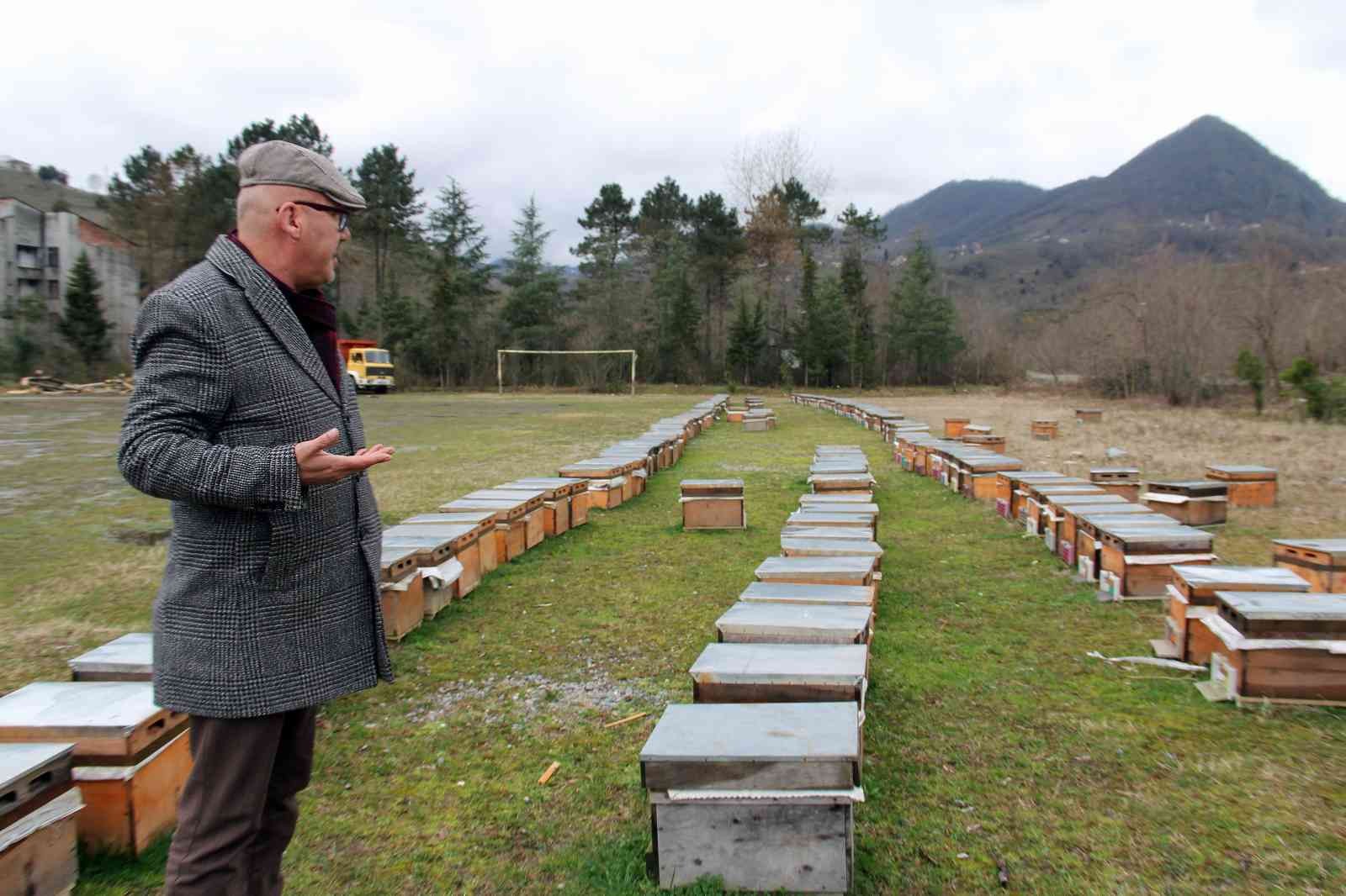 Elevli "Tarımda rekolte ve randıman için arıcılık desteklenmeli"