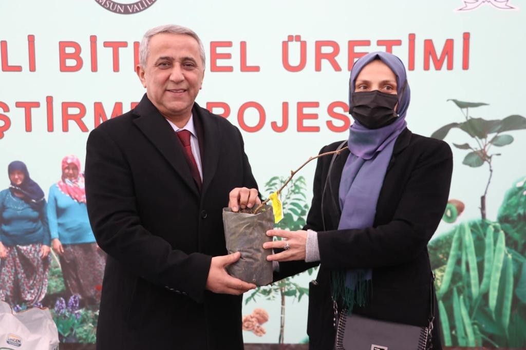 Samsun’da kivi üretiminde hedef 4 yılda 1. sıraya yerleşmek