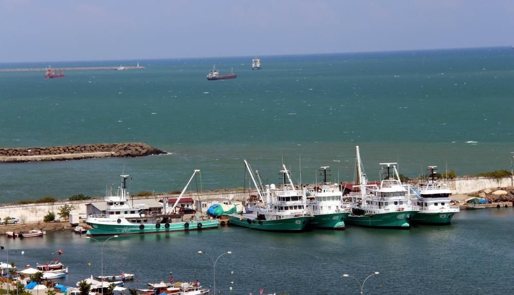 Mayın sıkıntısı yaşanmayan Samsun’da balıkçılar çaça avına başladı