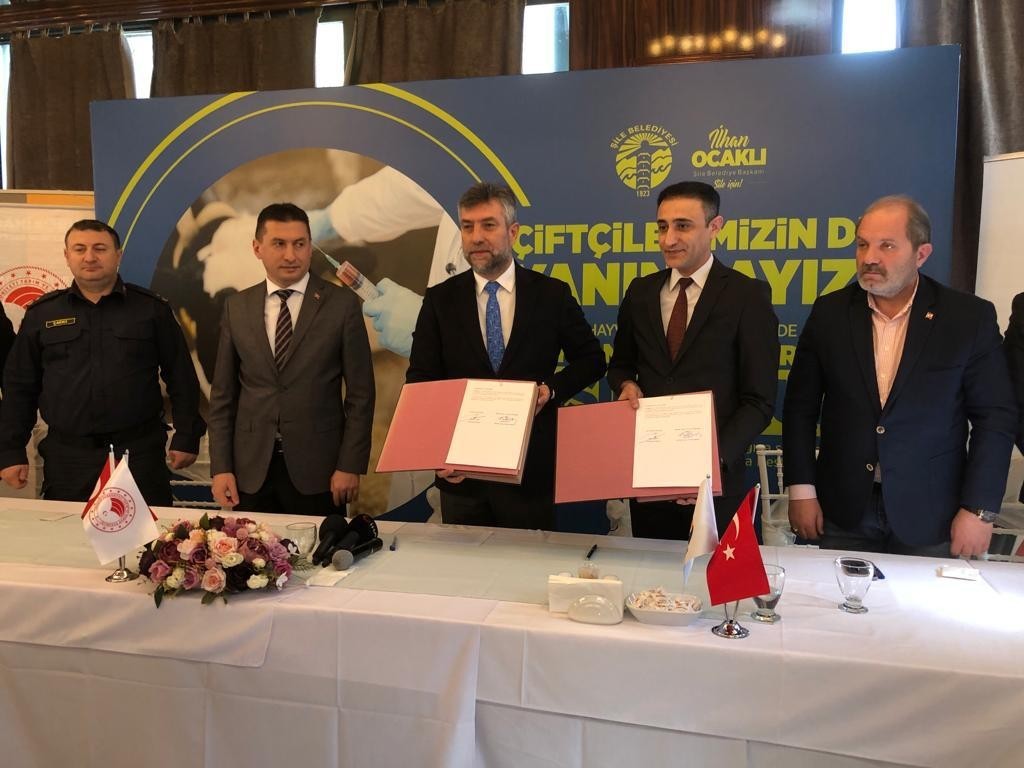 Şile’de 25 bin hayvanın aşılaması ücretsiz gerçekleştiriliyor