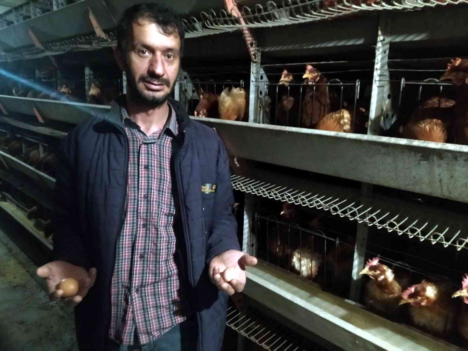 Yumurta üreticileri devletten destek bekliyor