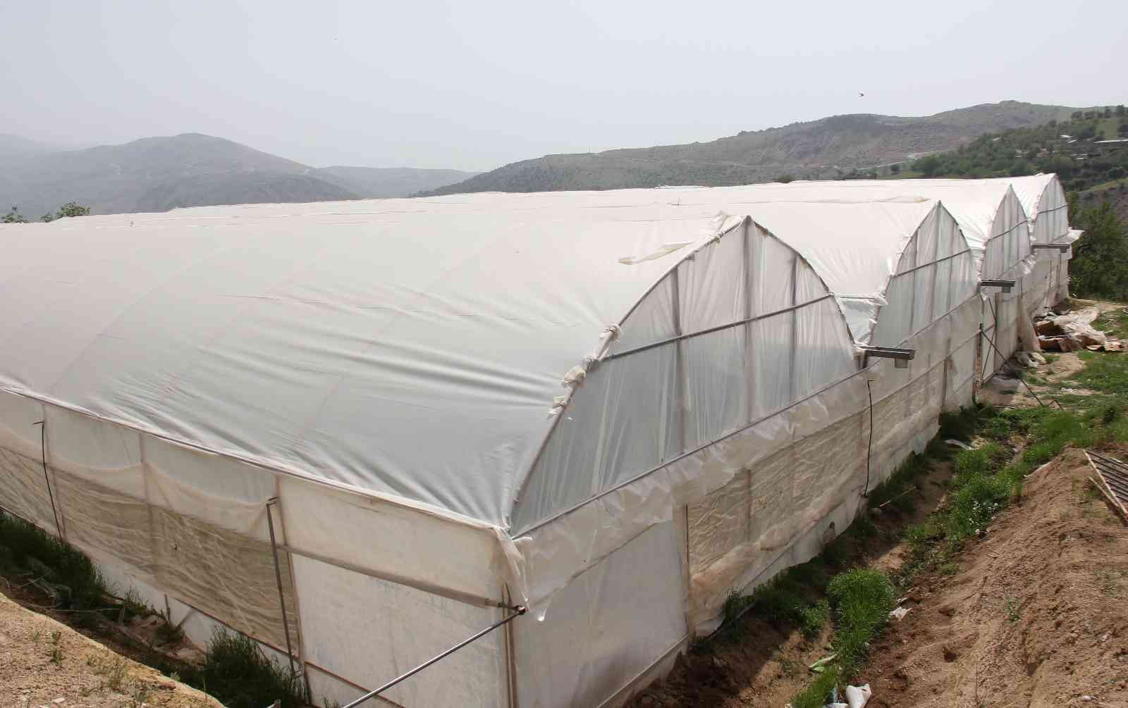 Kara kışta zarar gören seralar yeniden üretime geçti