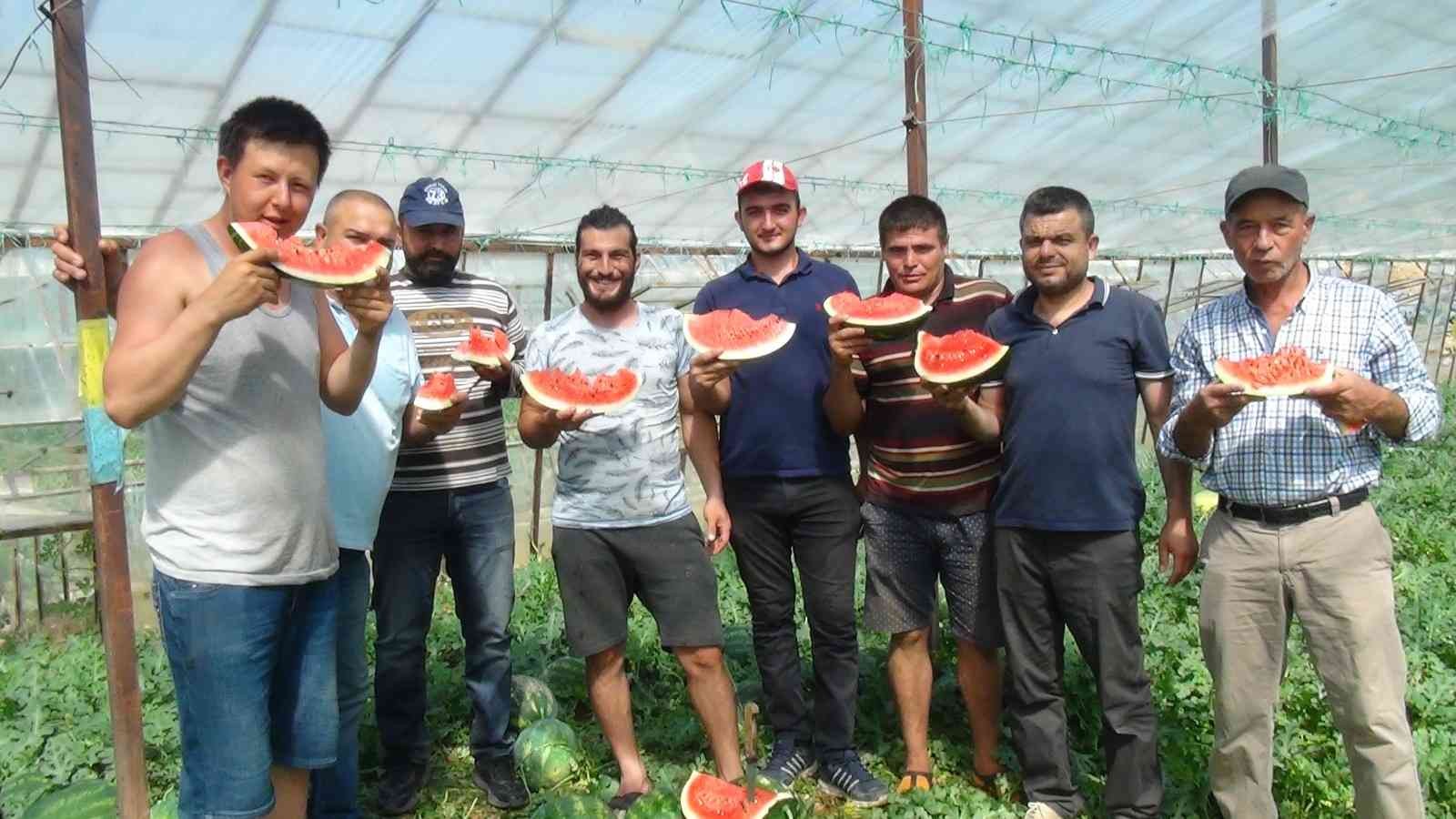 Yaz aylarının sevilen meyvesi karpuzda geç hasat dönemi başladı