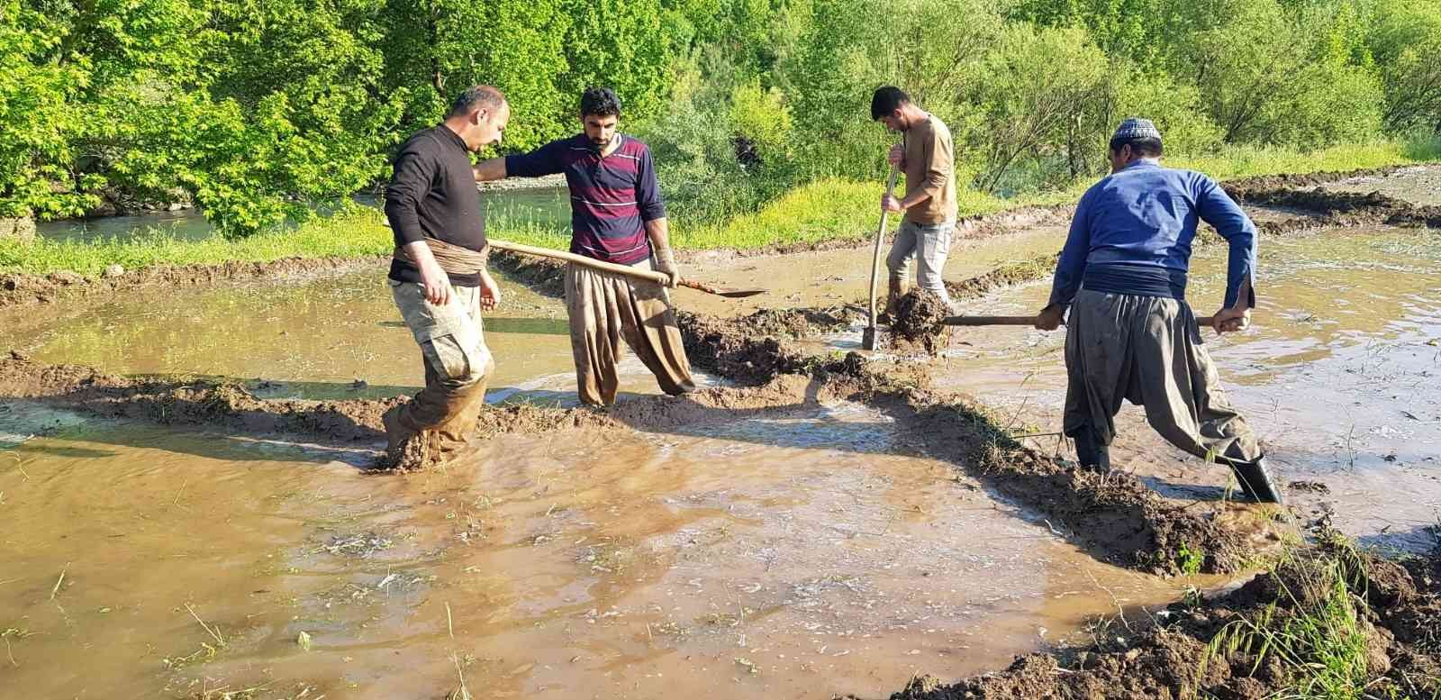 Derecik’te zorlu çeltik ekimi başladı